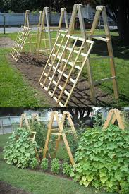 Do it yourself trellis for cucumbers. 15 Easy Diy Cucumber Trellis Ideas A Piece Of Rainbow