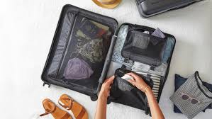 In addition, its popularity is due to the fact that it is a game that can be played by anyone, since it is a mobile game. 2020 Ultimate Packing Guide 30 Easy Packing Hacks