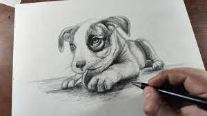 In this video i'm going to draw a hyper realistic dog using graphite pencils, follow my simple, detailed steps to draw a realistic dog with realistic fur tex. How To Draw A Dog Step By Step Easy For Beginners Realistic Drawing Youtube