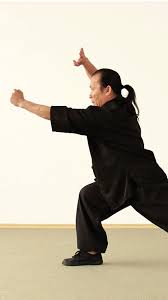 Nein, man kann überhaupt keine kampfkunst, oder einen kampfsport zuhause lernen. Kampfkunstschule Ajahn Lao In Munchen Kung Fu