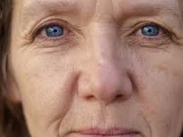 New outdoor equipment debuts at Brooks Global Studies