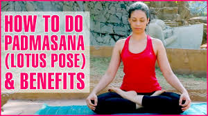 How To Do Padmasana Full Lotus Pose Benefits Of Lotus Position Yoga Basic Yoga Poses Yoga Poses For Beginners Lotus Pose Yoga