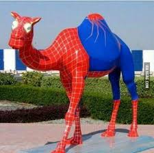 Far from being a monstrous terror, the camel spider is actually the perfect example of the following biological concepts! Searched For Camel Spider Wasn T Disappointed 9gag