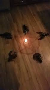 Reddit The Front Page Of The Internet Cursed Images Memes Scarred For Life