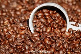 ความรู้เบื้องต้นเกี่ยวกับกาแฟที่มือใหม่หัดดื่มกาแฟต้องรู้ - ซอกแซกทะลุซอย The Local Directory