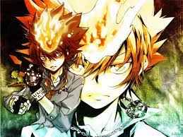 sawada tsuna 3 沢田綱吉 リボーン 綱吉
