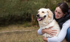 Our pet insurance policies cover: Pet Insurance For Dogs Cats Rated Best Plan 2020 Healthy Paws