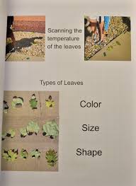 Fairchild Challenge at Phipps: Challenge #2 Winners Announced!