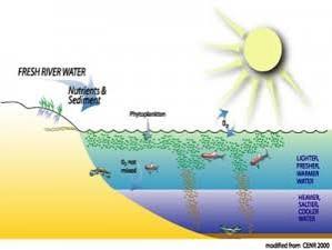 The Dead Zone - Louisiana Sea GrantLouisiana Sea Grant