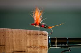 Saw something that caught your attention? My Favorite Dry Fly For Mountain Brook Trout Orvis News