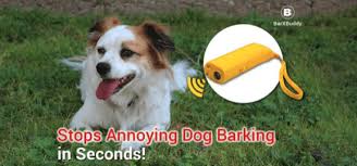 Top 10 anti barking devices under $55 based on efficiency, value & availability Barxbuddy Reviews Is Barx Buddy A Scam Must Read Before Buying Observer