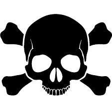 Skulls Png Image Owl Wallpaper Skull And Bones Clip Art