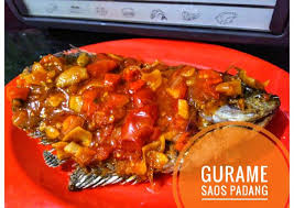 Salah satu resep masakan indonesia ayam goreng crispy saos padang memiliki perpaduan cita rasa yang lezat. Resep Gurame Saos Padang Oleh Rha Cookpad