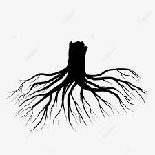 Check spelling or type a new query. Gambar Seni Klip Akar Pokok Siluet Akar Clipart Pokok Pokok Siluet Akar Png Dan Psd Untuk Muat Turun Percuma