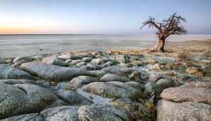 Air botswana board of directors, management and staff remain extremely proud of ms. Discover The Climate And Geography Of Botswana