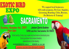 Petco's bird shop offers a wide range of live pet birds: Sacramento Exotic Birds Expo