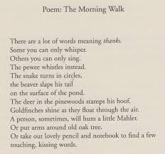 The Morning Walk By Mary Oliver From Long Life Essays And Other Writings Mary Oliver Poems Pretty Words Mary Oliver