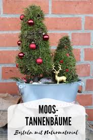 Moos Tannenbaume Diy Fur Ein Adventsgesteck Lavendelblog Diy Weihnachten Weihnachtsideen Adventsgesteck