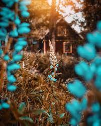 Pin On Nature Paysages