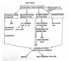 Indian Pediatrics Editorial