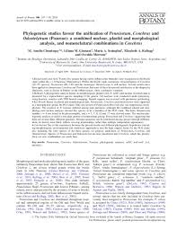 Image result for Cenchrus trisetus