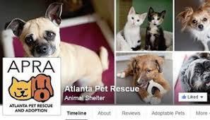 I received an email from atlanta pet rescue asking if we would be interested in donating it for an auction you were having. Michelle Rogers Ma Digital Communications Specialist Emory Healthcare Linkedin