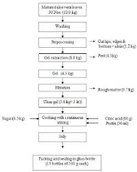 Flow Chart With Mass Balance For Preparation Of Jelly From