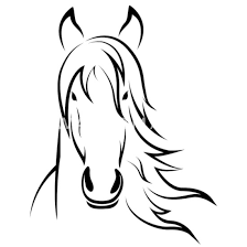 Teken een paardenhoofd op de witte kant. Paardenhoofd Tekening Paard