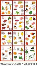 Vitamin Foods Set B1 B2 B3 Stock Vector Royalty Free 285964586 In 2020 Vitamin A Foods Vitamin Rich Foods Vitamin D Rich Food