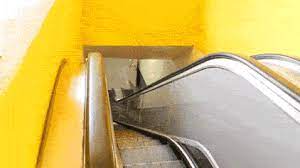 # will ferrell # anchorman # ron burgundy # that escalated quickly # escalated quickly. Boy That Escalated Quickly Gif On Imgur