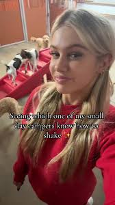 just another day at camp bowwow