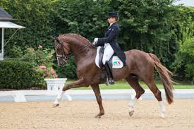 Matthias schoenaerts (/ ˈ ʃ oʊ n ɑːr t s /; 3 Starts 3 Siege Fur Achleiten Debutantin Dorothee Schneider Equestrian Worldwide Pferdesport Weltweit Eqwo Net