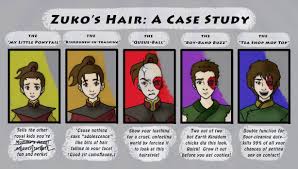 Zuko S Hair A Case Study Zuko Case Study Avatar The Last Airbender