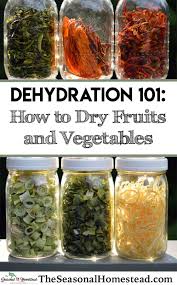 Food Dehydration 101 Drying Fruits And Vegetables The Seasonal Homestead Dehydrated Vegetables Dried Vegetables Food Dehydration