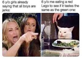 Two Women Yelling At A Cat Memes Are Overly Aggro Memebase Funny Memes Funny Pictures Funny Photos Funny Memes