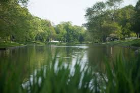 East Hampton Town Pond Swim Guide