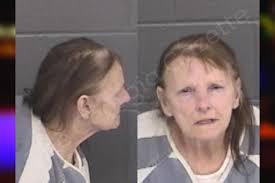 Janice Turner — Barrow County Jail Bookings