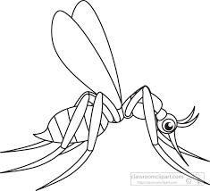 Search Results For Mosquito Pictures Graphics Clipart Wikiclipart Black and white cartoon illustration of funny mosquito insect #7524160. search results for mosquito pictures graphics clipart wikiclipart