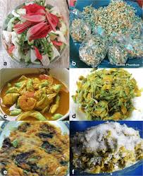 Image result for Sesbania keniensis