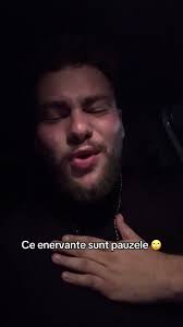 Am Un Baiat Leo De La Rosiori