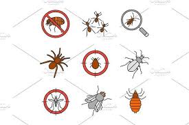We offer fast service and can help with rodents and insect issues. Pest Control Color Icons Set Icon Set Pencil Illustration Icon