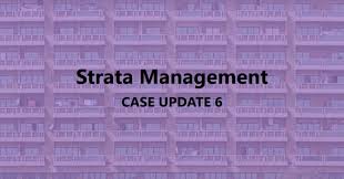 We can see captain kirk climbing the mountain—why is he climbing the. Strata Management Case Updates 6 Does A Committee Member Of Jmc Mc Owe A Fiduciary Duty To The Jmb Management Corporation Burgielaw