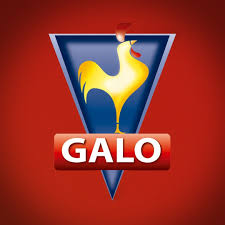 Galo é um substantivo, masculino singular ; Pastas Galo Facebook