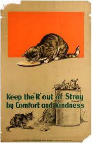 Uk 1920 S Comfort And Kindness For Stray Cats And Kittens Rspca Cats And Kittens Stray Cat Dog Poster
