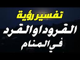 تفسير حلم القرد للفتاة العزباء لو رأت العزباء القرد يشير إلى الإقتران برجل محتال ومخادع. ØªÙØ³ÙŠØ± Ø±Ø¤ÙŠØ© Ø§Ù„Ù‚Ø±ÙˆØ¯ ÙÙŠ Ø§Ù„Ù…Ù†Ø§Ù… Ø¥Ø°Ø§ Ø±Ø£ÙŠØª Ø§Ù„Ù‚Ø±Ø¯ ÙÙŠ Ù…Ù†Ø§Ù…Ùƒ ÙØ£Ø­Ø°Ø± Ù…Ù† Ø§Ù„Ø£Ø´Ø®Ø§Øµ Ø§Ù„Ù…Ù‚Ø±Ø¨ÙŠÙ† Ù…Ù†Ùƒ Ø­ØªÙŠ Ù„Ø§ ÙŠÙØ³Ø¯Ùˆ Ø­ÙŠØ§ØªÙƒ Youtube