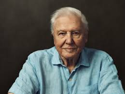 Happy birthday, David Attenborough! 99 ways he has inspired us, by Barack  Obama, Billie Eilish, Morgan Freeman