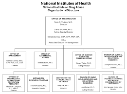 Fiscal Year 2013 Organizational Chart Description Nida