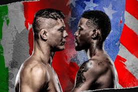 Результаты ufc fight night 189: Ufc Fight Night Vettori Vs Holland Results Winner Interviews Fight Highlights And More