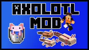 If you find any bugs, please report them on the official minecraft issue tracker. Minecraft Axolotl Mod Showcase How To Download And Play Youtube