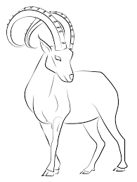 Black And White Goat Clipart Ibex Lines Goat Art Animal Line Drawings Drawings